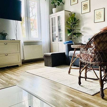 Apartament Na Starym Miescie Болеславец Экстерьер фото
