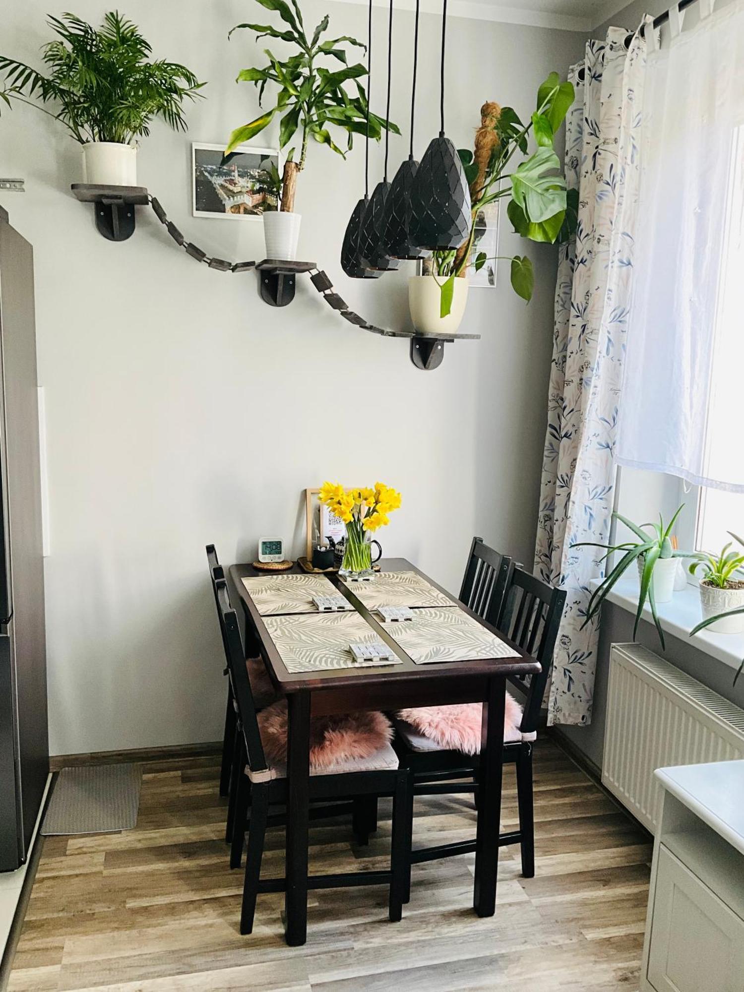 Apartament Na Starym Miescie Болеславец Экстерьер фото